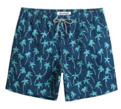 3D Beach Shorts Men's Swimming Trunks