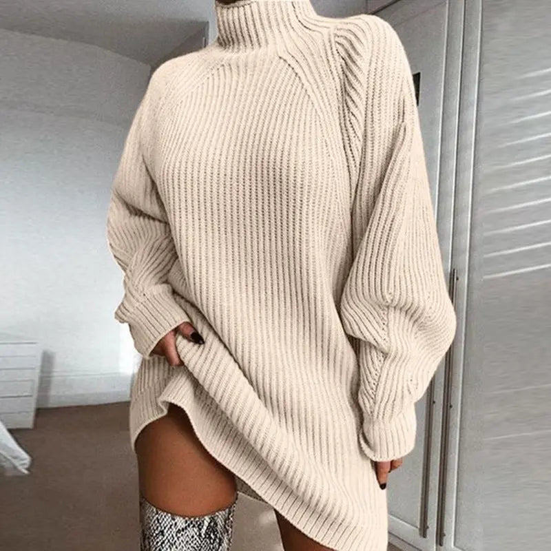 Solid Turtleneck Long Sweater Winter Warm Women Sweater Dress Nipaaj
