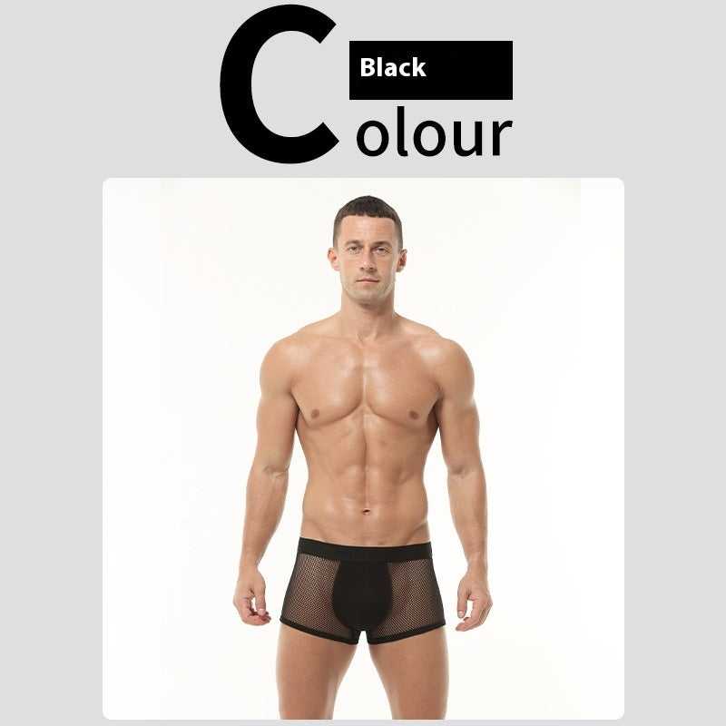 Ice Silk High Elastic Mesh Underwear Thin Cotton Crotch Boxers