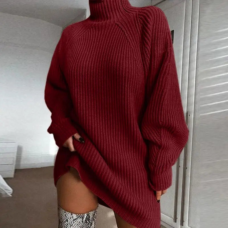 Solid Turtleneck Long Sweater Winter Warm Women Sweater Dress Nipaaj