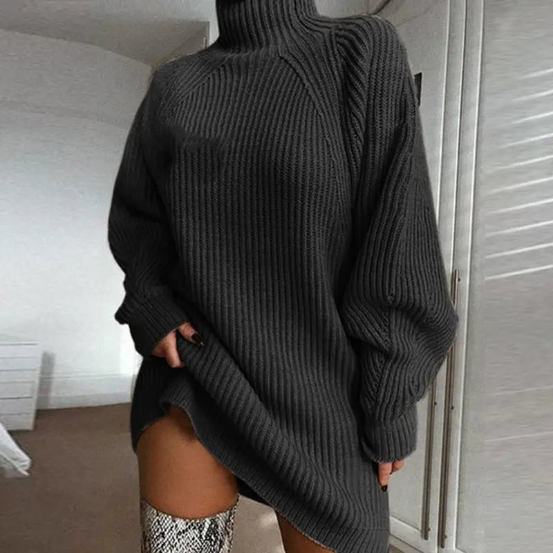 Solid Turtleneck Long Sweater Winter Warm Women Sweater Dress Nipaaj