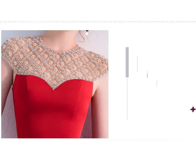 Fishtail Long Banquet Elegant Evening Dress Nipaaj