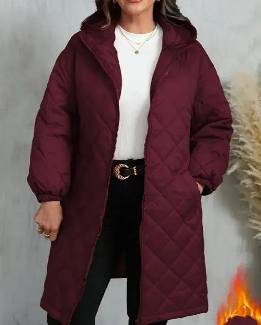 Elegant Hooded Zipper Cotton Jacket For Women null